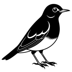 bird on a branch