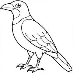 illustration of a bird