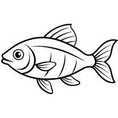 fish on a white background