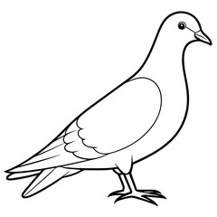 dove of peace