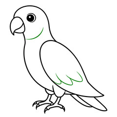 parrot on white background