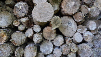 Stacked Firewood Close-Up Natural Wood Texture and Pattern Photography