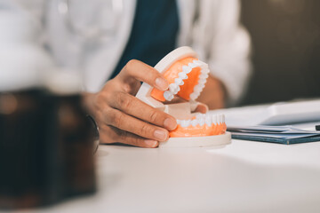 A dentist is using specialized dental equipment to inspect dentures to study the anatomy of the...