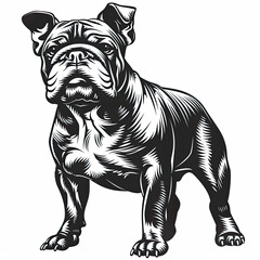 Fototapeta premium A black and white drawing of a bulldog dog