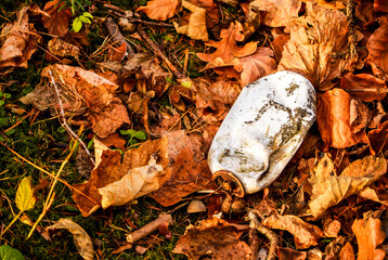 Trash in nature. Pollution in forest.