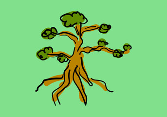 Tree in bonsai style.