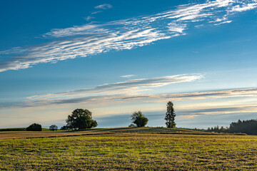 Morgenstimmung im bayerischen Oberland