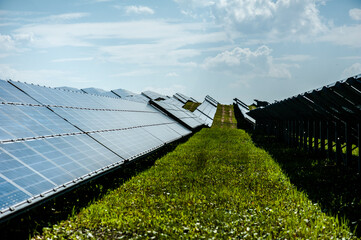 photovoltaic solar panels, alternative energy concept. solar energy panels on the field.