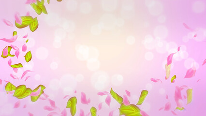 Spring cherry blossom petals and leaves, nature gradient design element