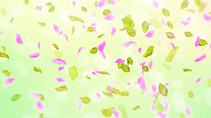 Spring cherry blossom petals and leaves, nature gradient design element