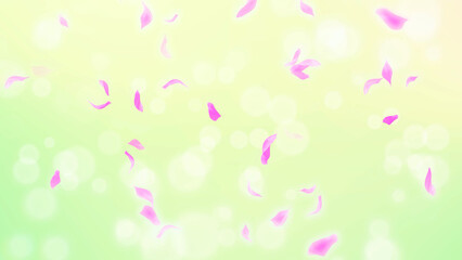 Pink Rose Petals, cherry blossom on spring background, nature
