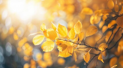 A close-up shot of a tree branch with vibrant yellow leaves, ideal for use in nature-inspired designs or as a symbol of change and growth