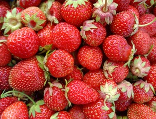 strawberries in the background