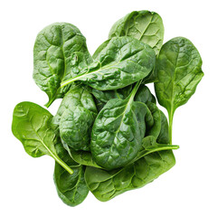 Obraz premium Fresh spinach leaves isolated on white background. Healthy green leafy vegetable, perfect for salads and cooking.