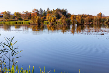 Landscape in the countryside by the lake on a sunny October day. A quiet place to relax by the water.
