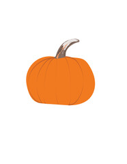 pumpkin isolated on white background