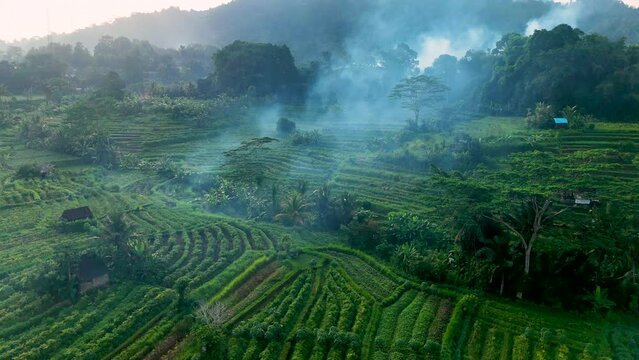 Agricultural landscape of Sidemen, in Karangasem Regency, Bali, Indonesia