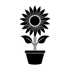 Obraz premium Vector silhouette outline of a sunflower in a flower tub.