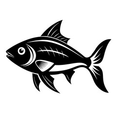 fish isolated on white