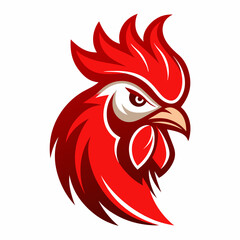 rooster isolated on white background