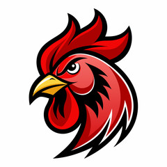 rooster isolated on white