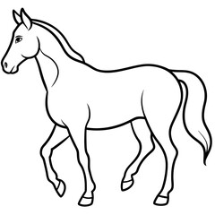 horse silhouette isolated on white