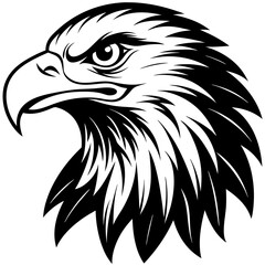 american bald eagle