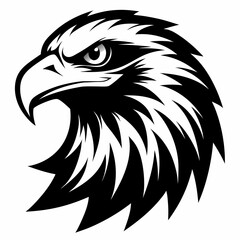 eagle head vector illustration