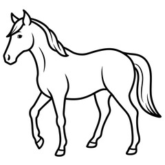 horse silhouette isolated on white