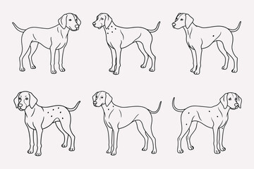 set of dogs vector