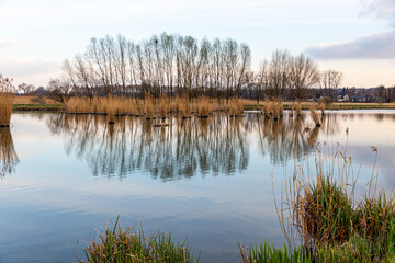 Landscape in the countryside by the lake. A quiet place to relax by the water.