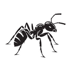 Ant full black silhouette vector art illustration, silhouette design, animal sign and symbol