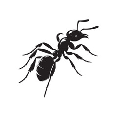 Ant full black silhouette vector art illustration, silhouette design, animal sign and symbol
