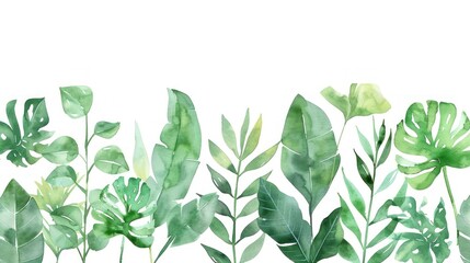 Obraz premium Watercolor illustration of various green leaves and plants on a white background. Perfect for nature-themed designs and backgrounds.