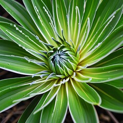 Eco-Friendly Power Solutions with Clean Technology