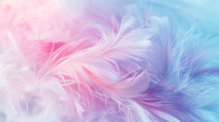 A colorful feathery pattern with pink and blue hues