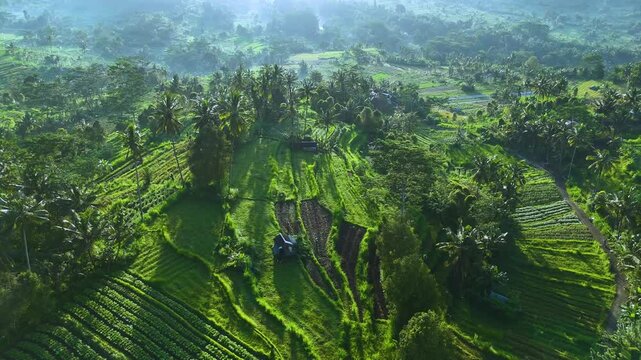 Agricultural landscape of Sidemen, in Karangasem Regency, Bali, Indonesia
