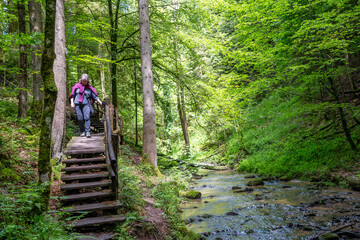 Strümpfelbachtal