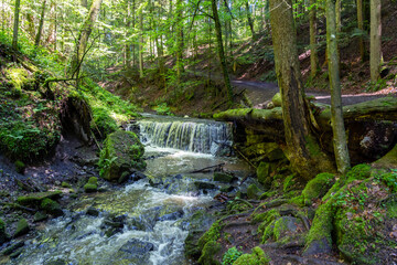 Strümpfelbachtal