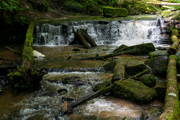 Strümpfelbachtal