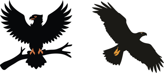 Obraz premium a striking silhouette of a harpy eagle in flight