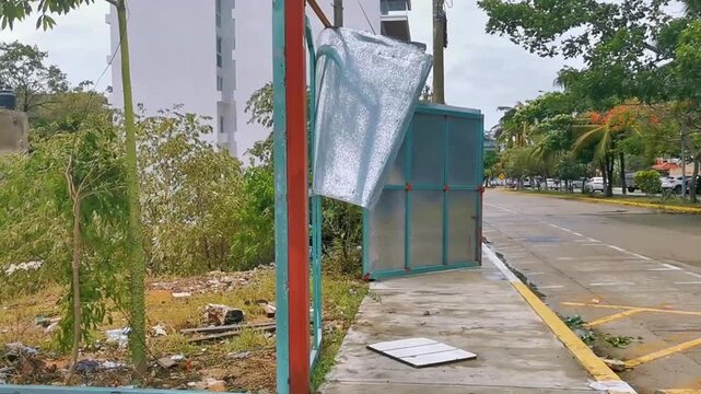 Hurricane 2021 Playa del Carmen Mexico destruction devastation broken trees.