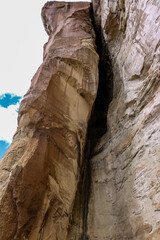 Oasis in the desert at El Morro National Monument.