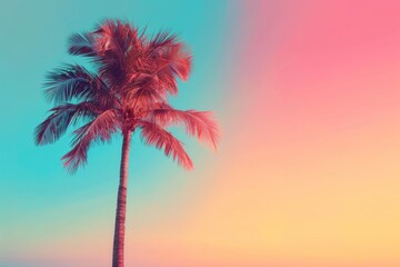 Vibrant tropical palm tree against colorful sky