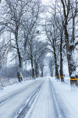 Obraz premium A snowy road with bare trees, a tranquil winter country landscape
