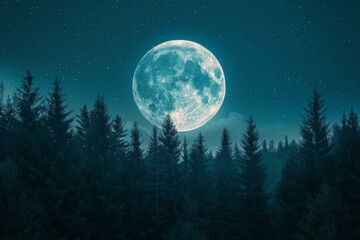 Fototapeta premium Full Moon Rising Over Pine Forest at Night