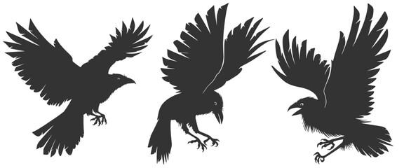 Fototapeta premium set of silhouettes of crow