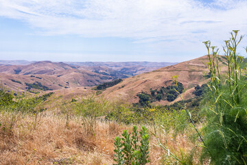 Beautiful view of the California hills in summer