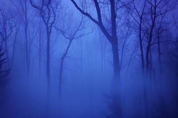 Obraz premium Eerie Misty Forest in Blue Hue