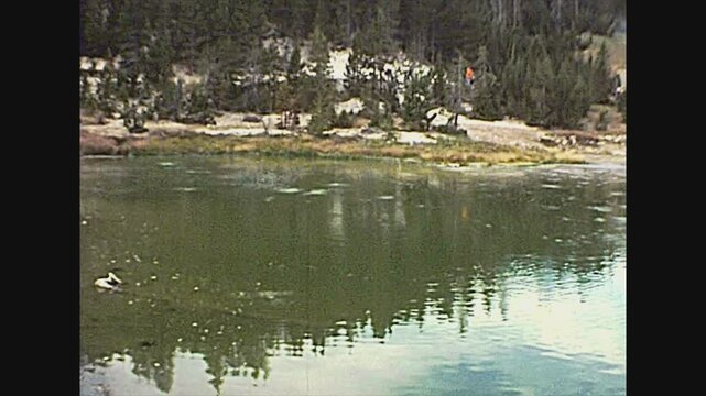 Wyoming, United States - Circa 1977: tourists visiting the landscape of dead trees pool and hot springs in Yellowstone National Park. Located in Wyoming and Montana. America archival in 1970s.